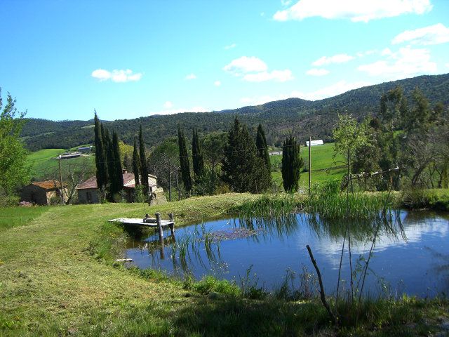Home01