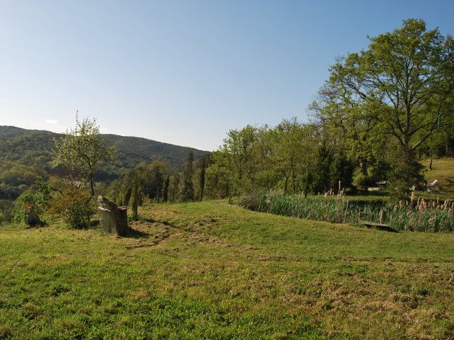 home11